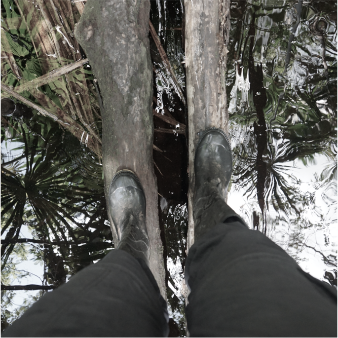 Looking down at boots on jungle bridge